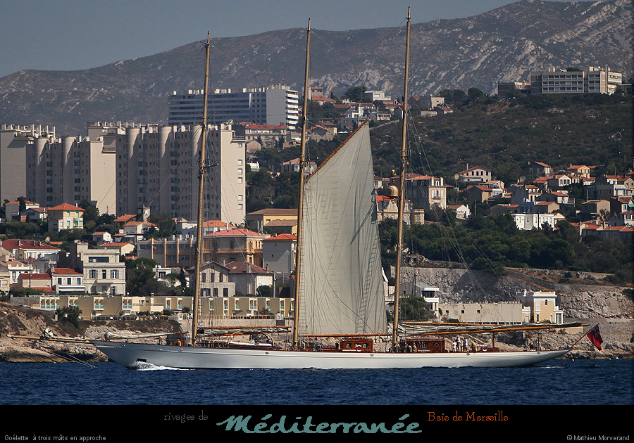 20130903_voilieradix06