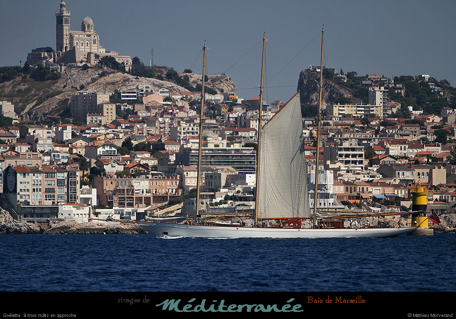 20130903_voilieradix07
