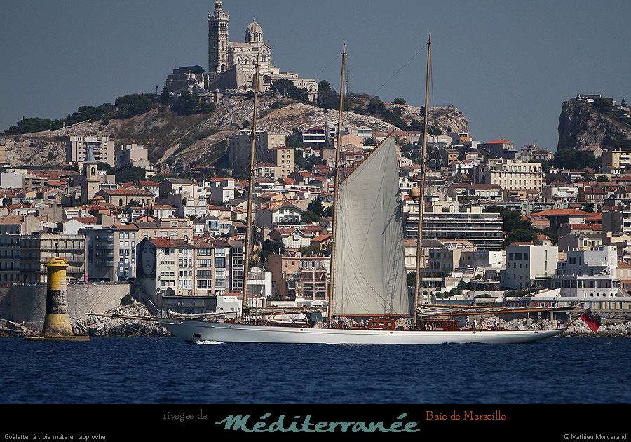 20130903_voilieradix08