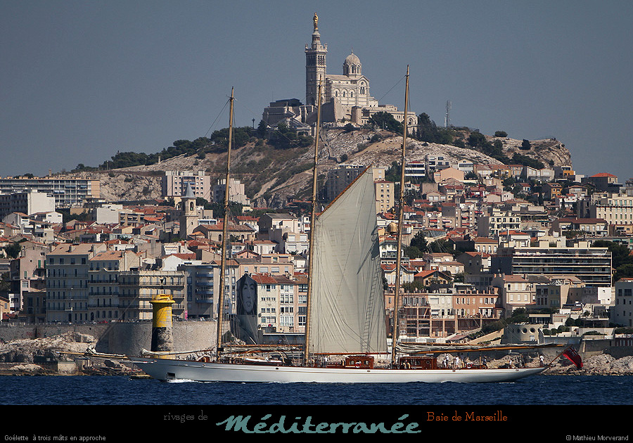 20130903_voilieradix09
