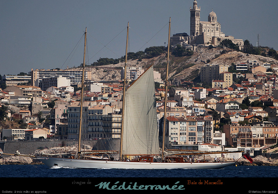 20130903_voilieradix10