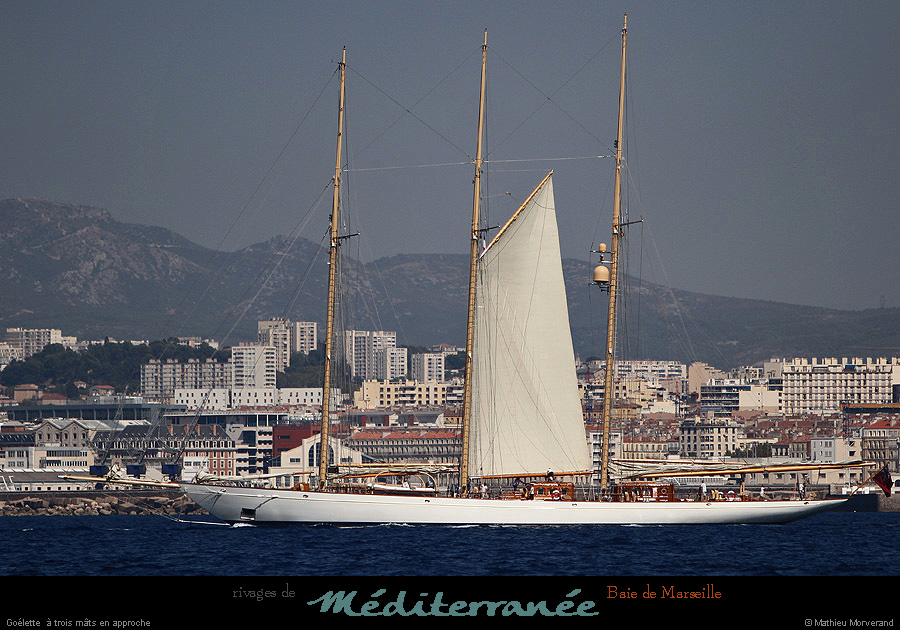 20130903_voilieradix11