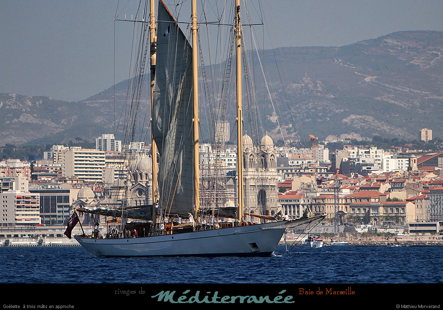20130903_voilieradix12