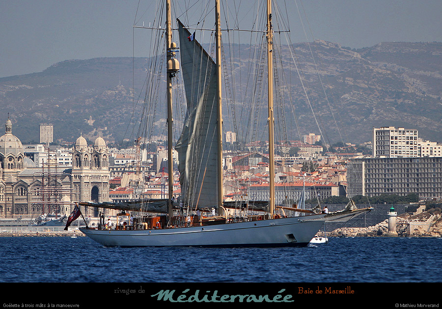 20130903_voilieradix13