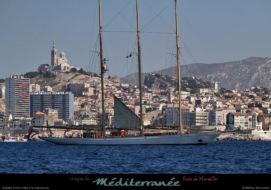 20130903_voilieradix14