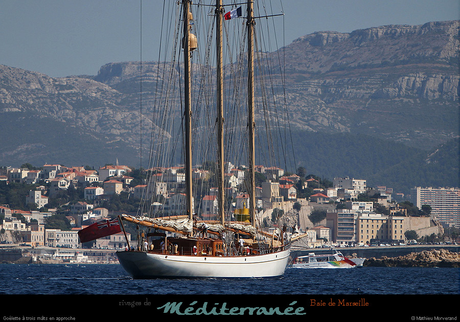 20130903_voilieradix15