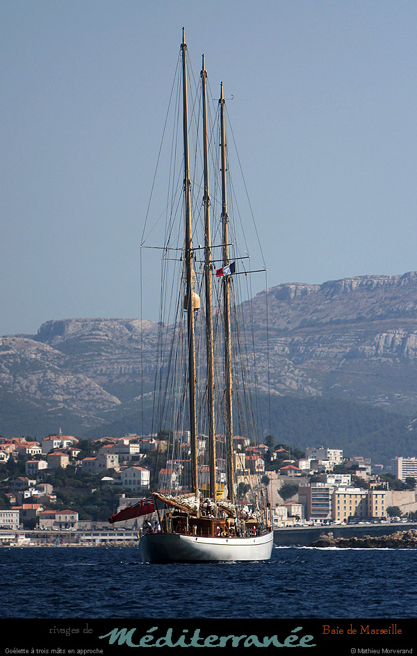 20130903_voilieradix16