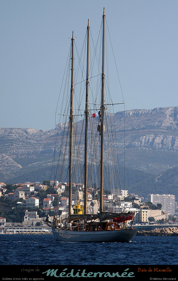 20130903_voilieradix17