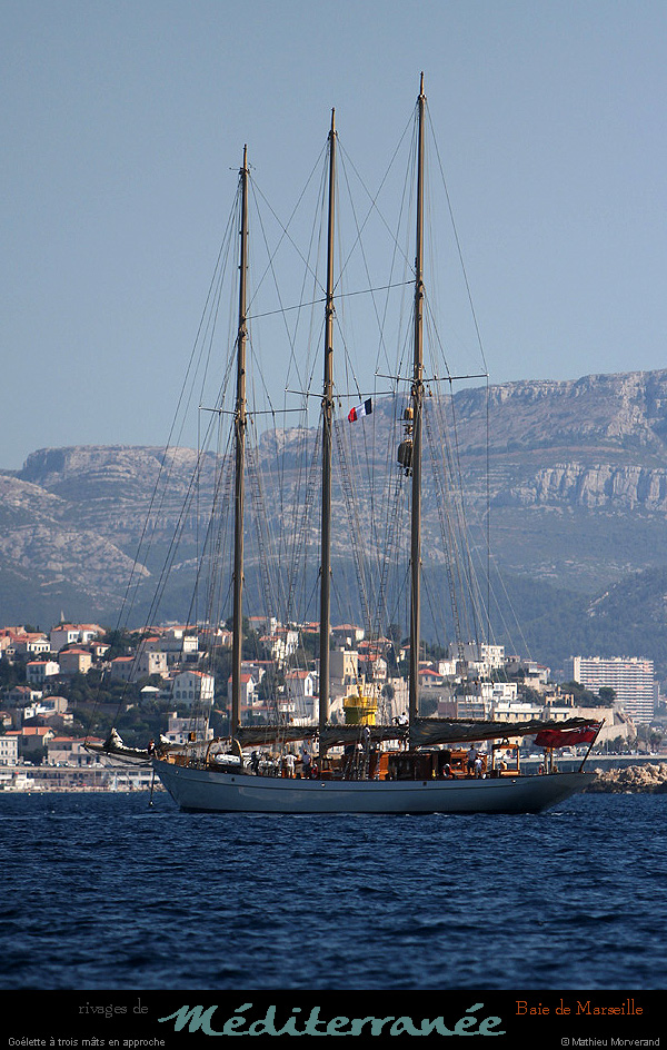 20130903_voilieradix18