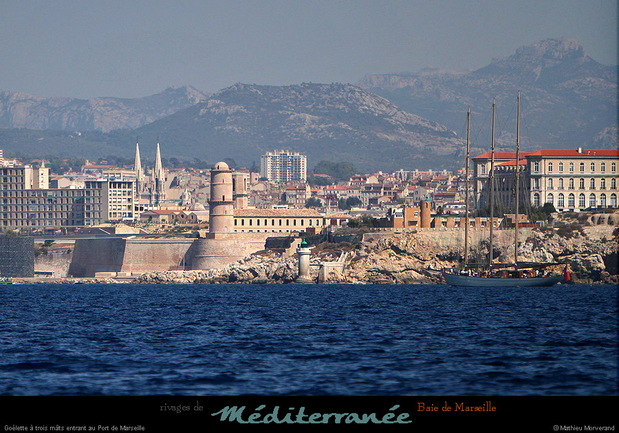 20130903_voilieradix20