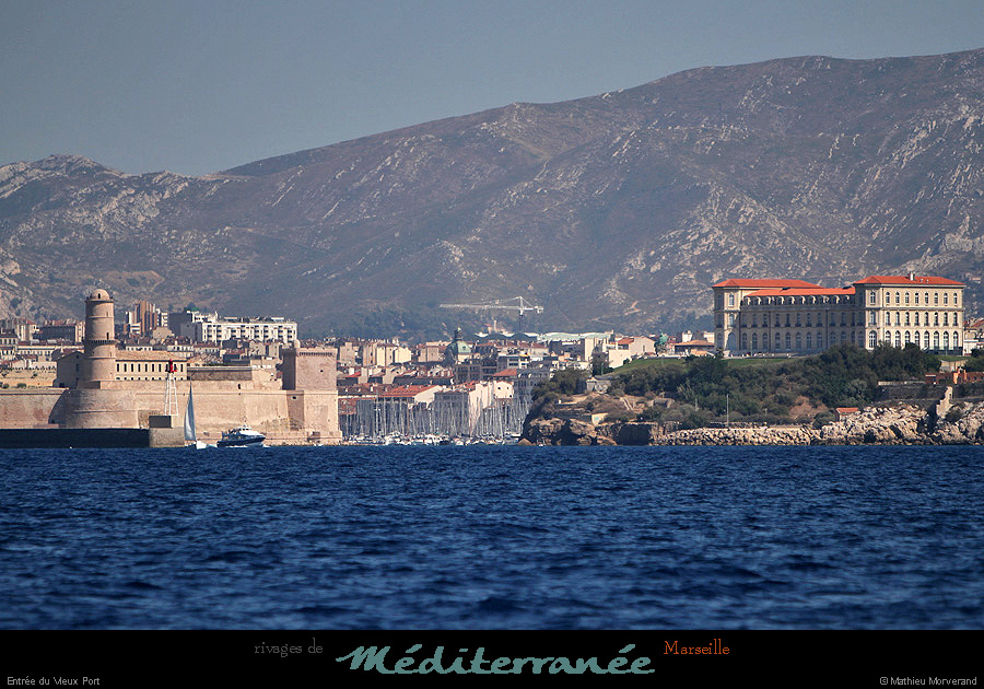 20130903_vxportentree2