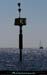 20130903_ileratonneau_marquesudstesteve1