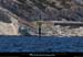 20130903_ileratonneau_marquesudstesteve2