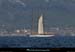 20130903_voilieradix01