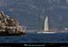 20130903_voilieradix02