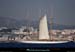 20130903_voilieradix11