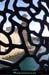 20190309_marseille_mucem1