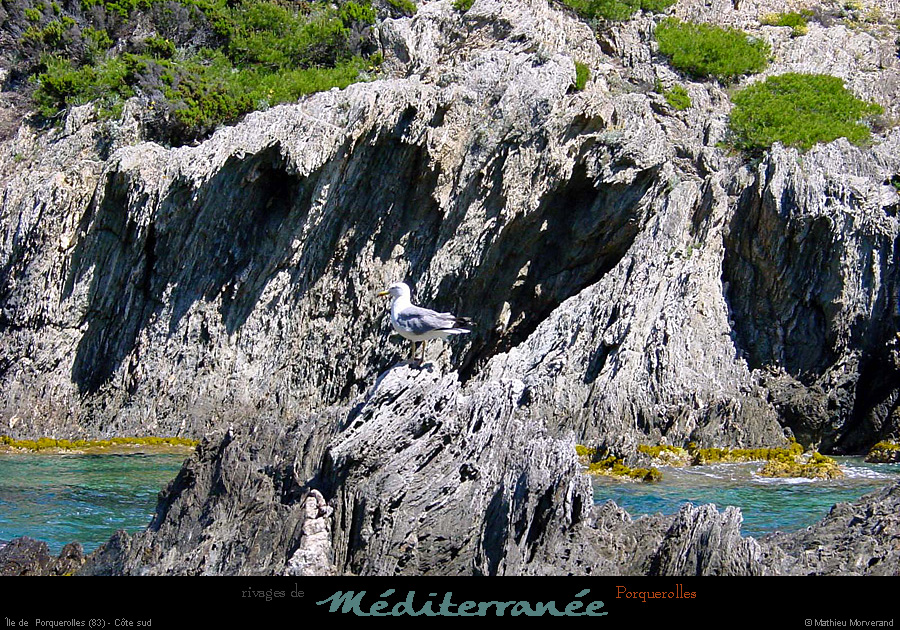 20010612_porquerolles_côte_sud_anse_1