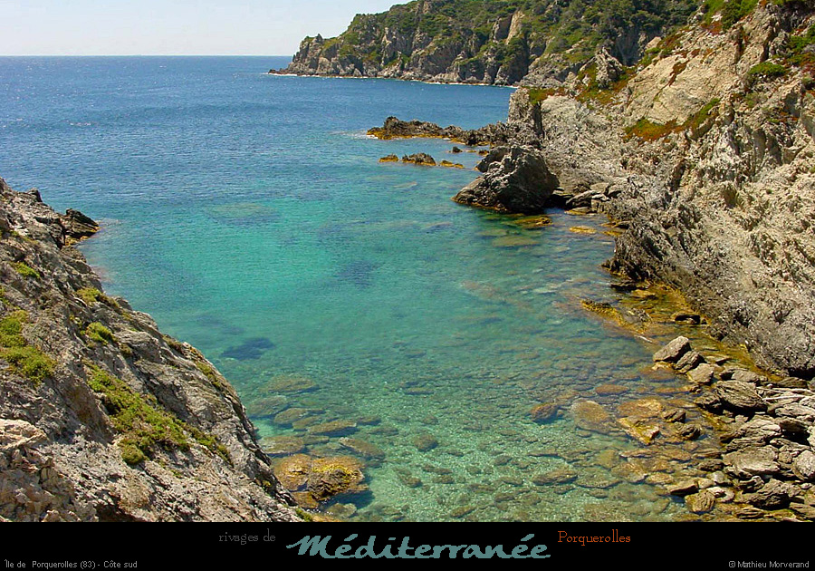 20010612_porquerolles_côte_sud_anse_4