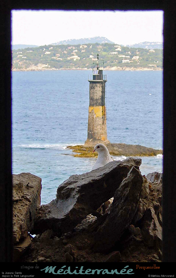 20010612_porquerolles_langoustier_colombe_3