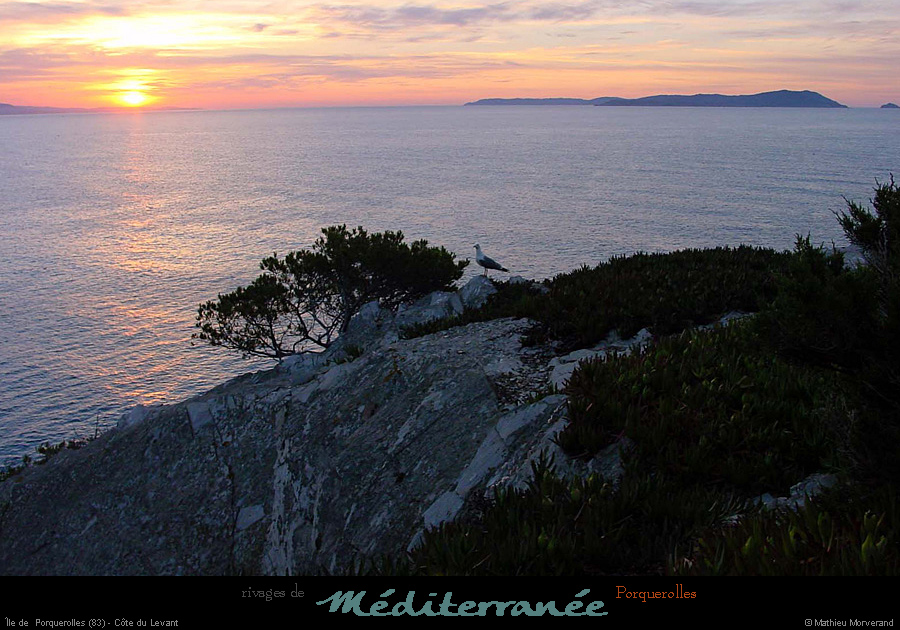 20010613_porquerolles_sunset_2