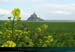 20040409_montstmichelparlesw_04