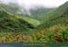 20010311_gua_tracedescretes_04_versantest_3
