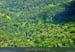 20010311_gua_tracedescretes_13_forettropicale