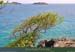 20010309_lessaintes_tdb_lacocheetlesaugustins_2