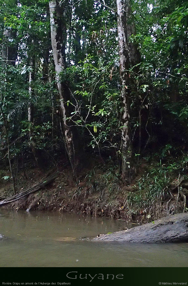 20141228_32