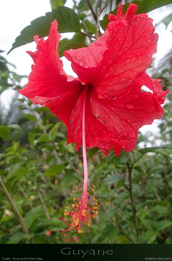 20141228_35