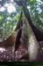 20120321_ilm07