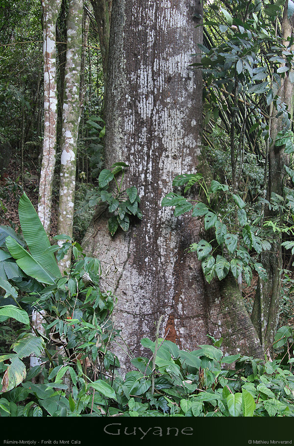 20120321_21