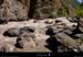 20010518_ubaye_infransdubas_05