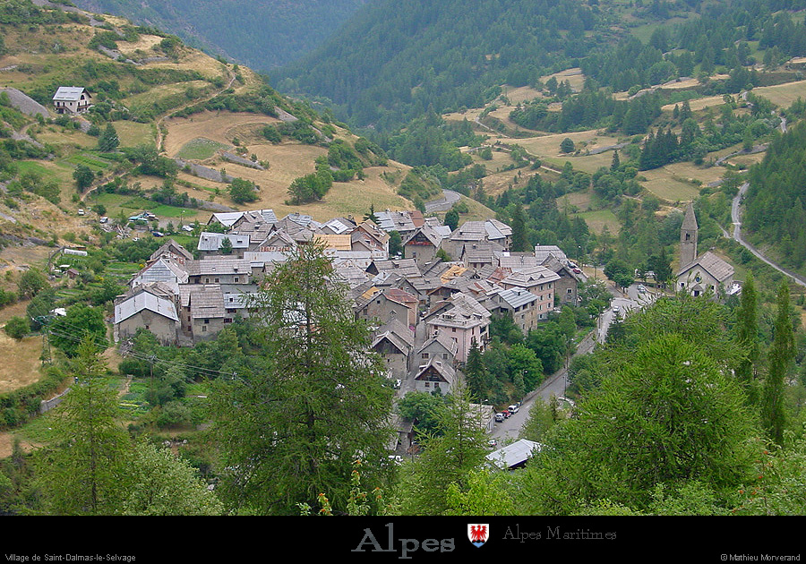 20030806_bonette_sud_vallonsestrieres_stdalmasleselvage