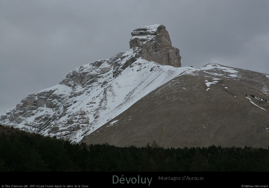 20070101_teleaurouze1