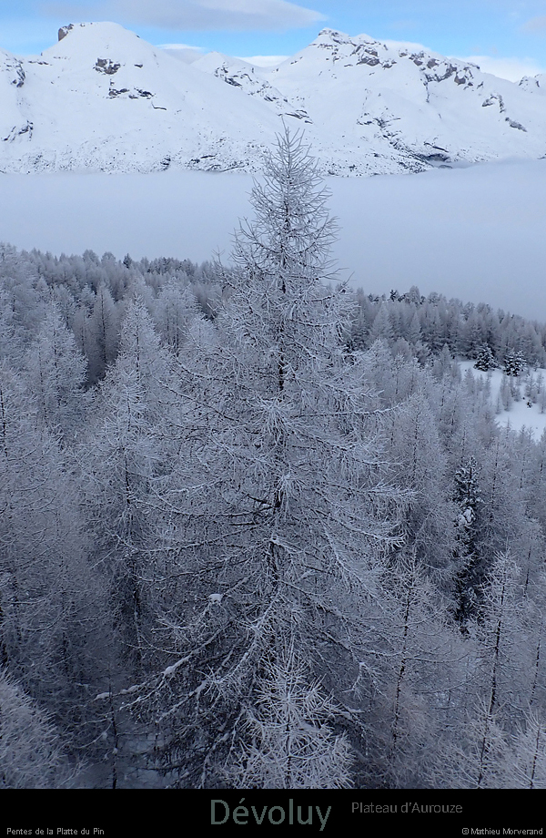 20250201_007