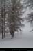20140129_devoluy_agnieres_boischaumates1