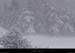 20140130_agnieresboisdelajoueduloup
