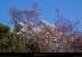 20170221_rtenoyer_lauzon1