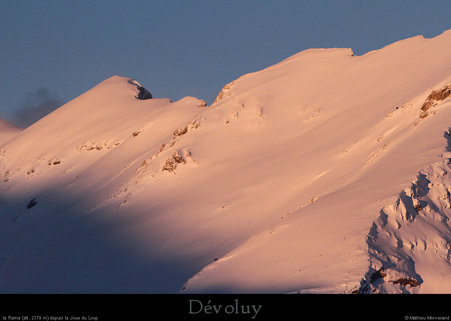 20140128_laramadepuislajoueduloup1