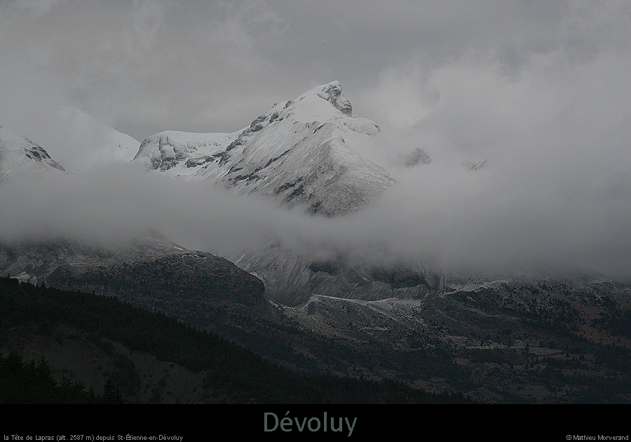 20070101_tetelapras