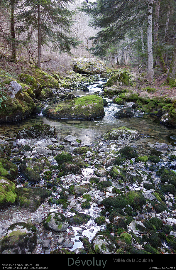 20170223_valleesouloise_gillardesptite4