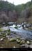 20170223_valleesouloise_gillardesgrde21