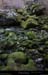 20170223_valleesouloise_gillardesptite1