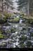 20170223_valleesouloise_gillardesptite4
