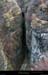20070101_gorgesrif1