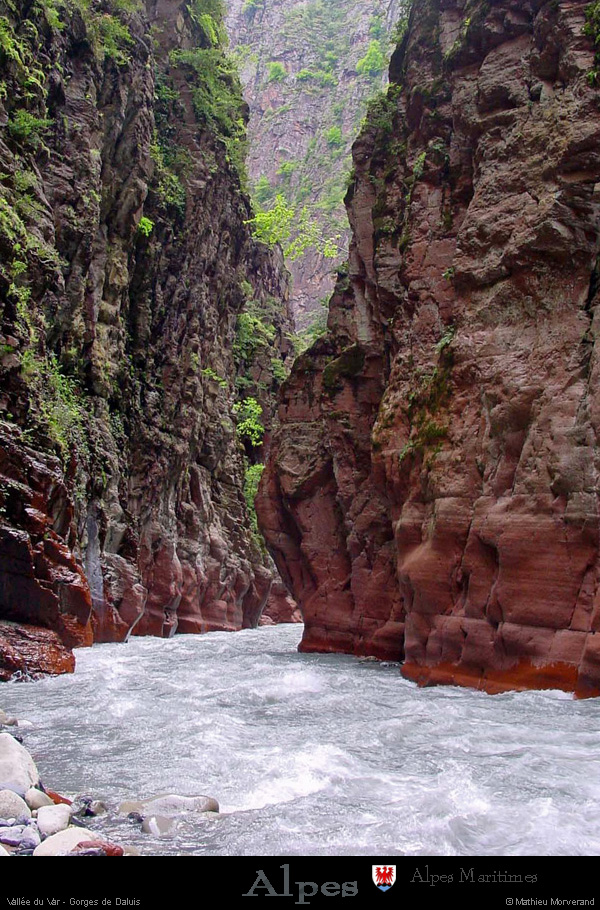 20010513_var_gorgesdedaluis_07