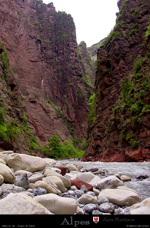 20010513_var_gorgesdedaluis_10