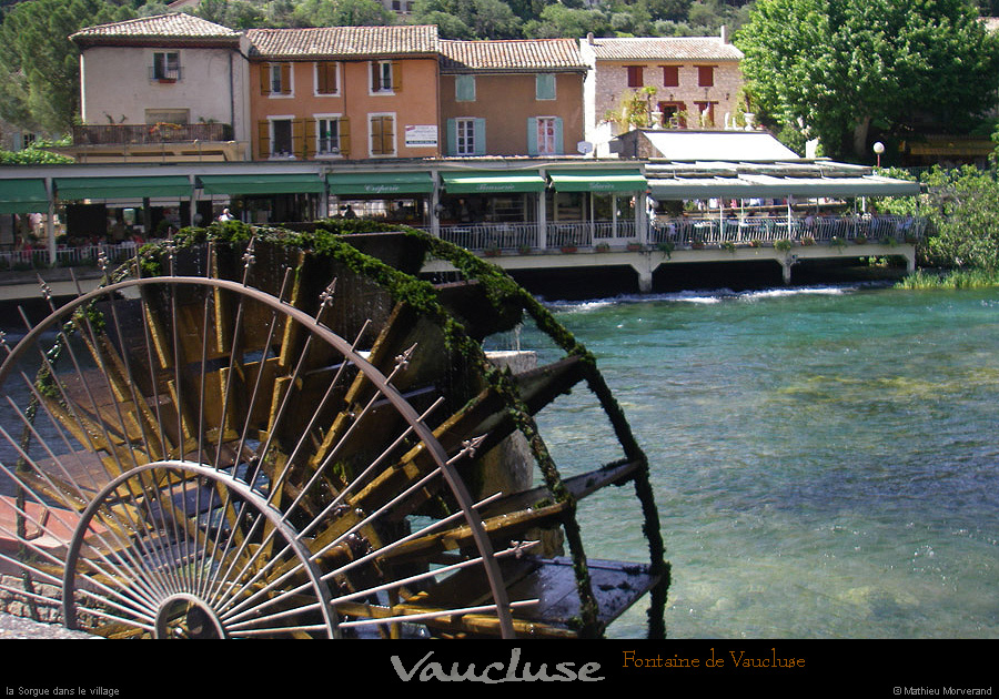 20080619_129